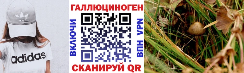 Галлюциногенные грибы Psilocybe darknet наркотические препараты Правдинск